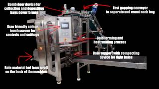 preview picture of video 'Vertical Form, Fill and Seal (VFFS) Packing Machines'