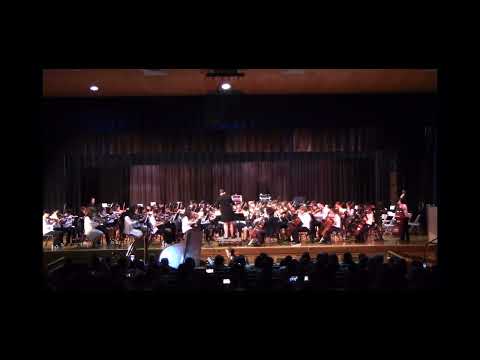 Dance the Night by Dua Lipa arr. Michael Story (String Orchestra & Percussion) - WMS Orchestra