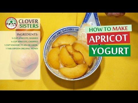 download lagu mp3 mp4 Apricot Yogurt, download lagu Apricot Yogurt gratis, unduh video klip Apricot Yogurt