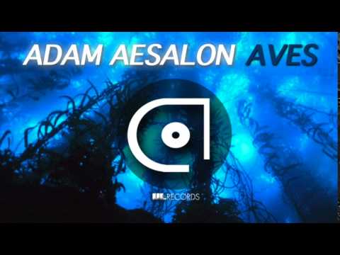 Adam Aesalon - Aves