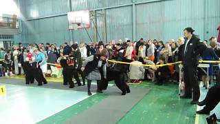 , видео 16.01.2016