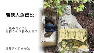 は？人魚のミイラは偽物が本物？　その真意とは。