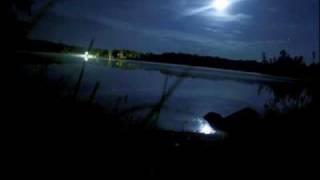 Black Swan - Thom Yorke + LYRICS