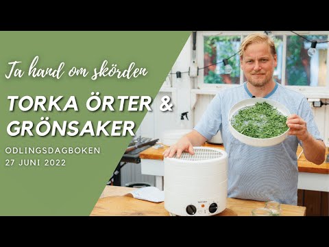 Ta hand om skörden med Torkning - Odlingsdagboken 27 Juni 2022