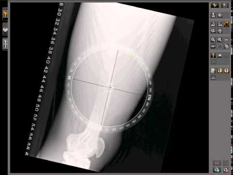 Image Suite Freerotate Cw