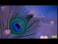 Radha Ramanam Lyrical Whatsapp Status