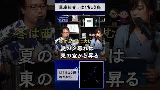 - 夏の夜空にはクリスマスの星が見える【はくちょう座】
