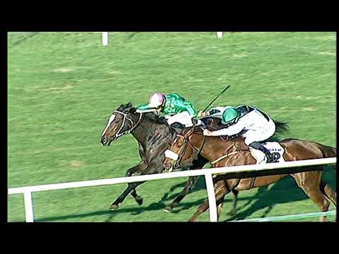 Napoli Galoppo 14/12/2021 - 3ª corsa