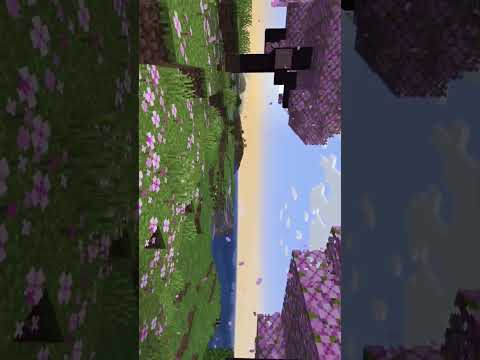 Minecraft graphics pack vs realistic data pack