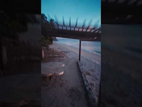 DJI AVATA 2 - freestyle on the beach 🏝️🌅 #fpv #djiavata2 #drone