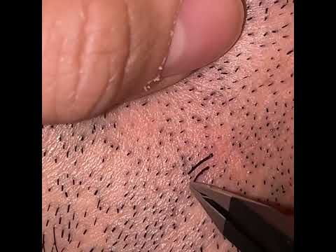 性淘汰が「海のユニコーン」を生み出した