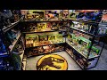 My Jurassic Park Collection 2024