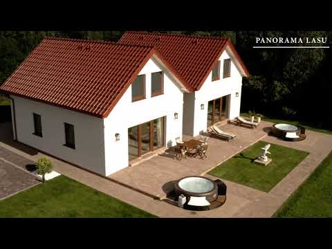 PANORAMA LASU  ŁEBA - NOWĘCIN