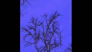Autumn-The Hating Tree.wmv