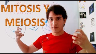Mitosis and meiosis. Very easy IN 4 MINUTES