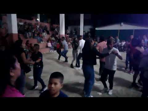 Grupo Palmera Musical Seccion Zarate Jalapa de Díaz Oaxaca Boda 26/12/2023