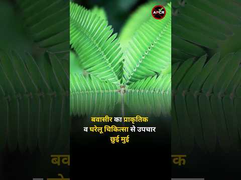 Treatment of piles with natural and home remedies : Chhuee Muee #piles #constipation #hemorrhoid