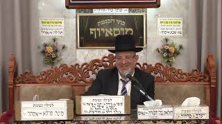 הרב אליהו חי אביטן | הלכות | (בית הכנסת מוסאיוף) - התמונה מוצגת ישירות מתוך אתר האינטרנט יוטיוב. זכויות היוצרים בתמונה שייכות ליוצרה. קישור קרדיט למקור התוכן נמצא בתוך דף הסרטון