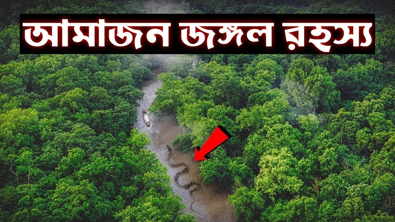 আমাজন রেইনফরেস্টের সবচেয়ে বিপজ্জনক প্রাণী | আমাজন জঙ্গল সম্পর্কে অদ্ভুত তথ্য