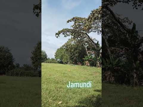 Jamundí Valle del Cauca #colombia #jamundi #terranova