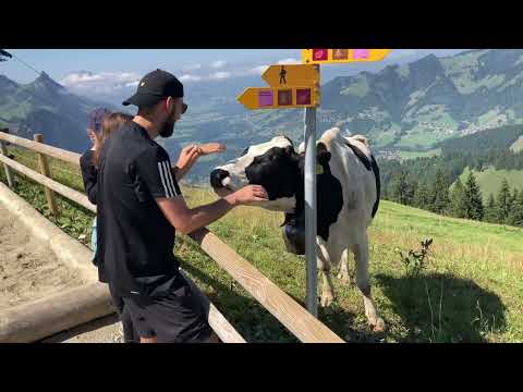 KjG Stupferich - Lager-Blog 2024 Tag 6