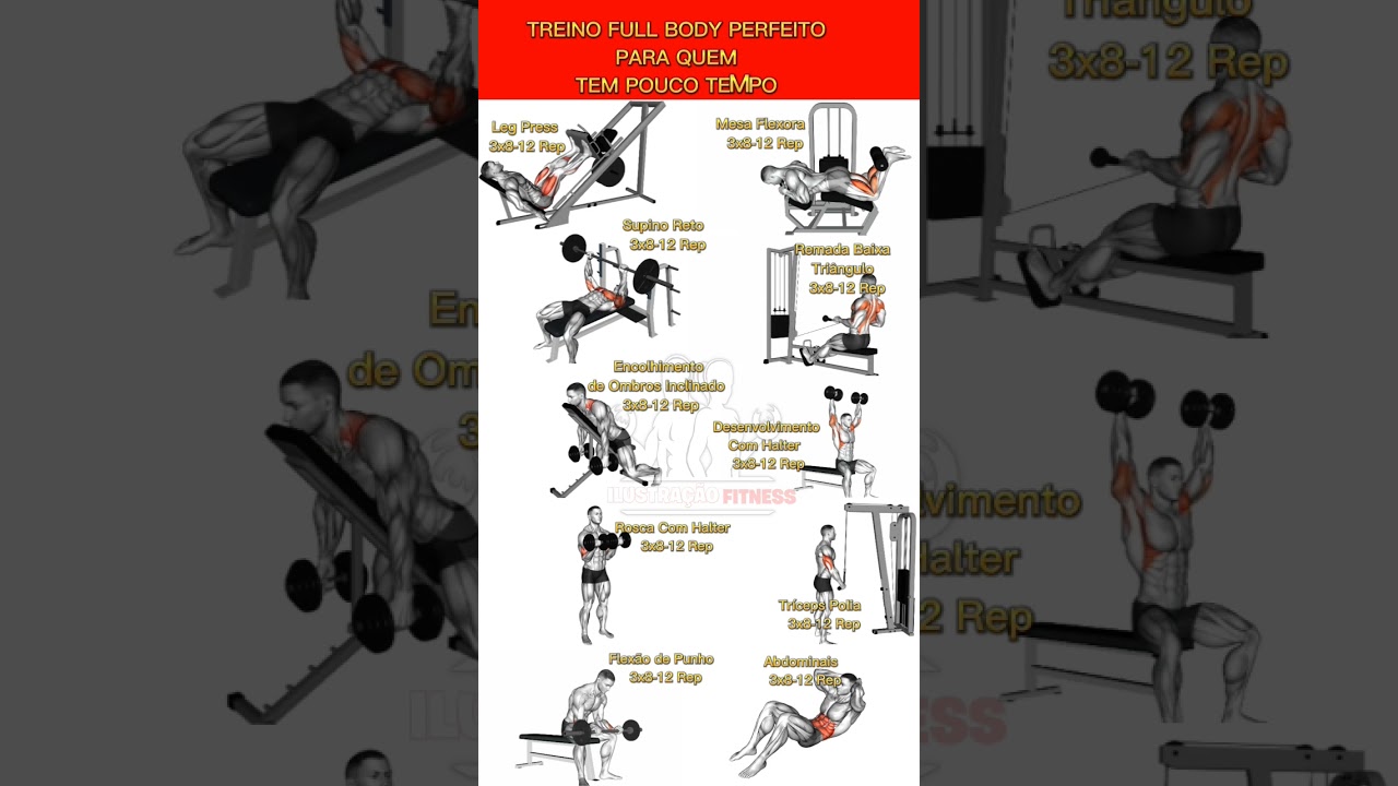 Treino Full BODY perfeito para iniciantes e para quem não tem tempo de treinar. #musculação
