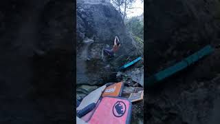 Video thumbnail de La Force Tranquile, 8c. Magic Wood