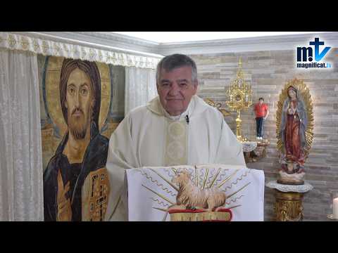 ¿Te Crees Mejor que los Demás? | Homilía, Santa Teresa de Jesús Jornet e Ibars, Virgen (26-08-2026) | P. Santiago Martín, FM