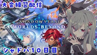 響咲リオナ - 【 シャドバWB/Shadowverse】シャドバ歴１０日目、明日が本番です。やばい【ホロライブ DEV_IS 響咲リオナ】