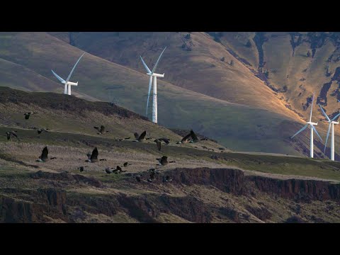 HIGDON OUTDOORS TV - 904 - " Columbia River Gorge"