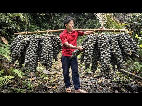 ULTIMATE Wild Forest Fruit Harvest – MASSIVE - Goes to the Market sell | Solo Survival