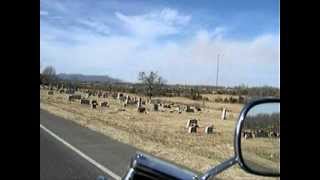 That'll Be The Day.avi