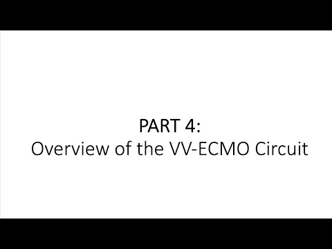 DO2:VO2 in VV-ECMO (Part 4)