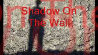 Shadow on the Wall Music Video