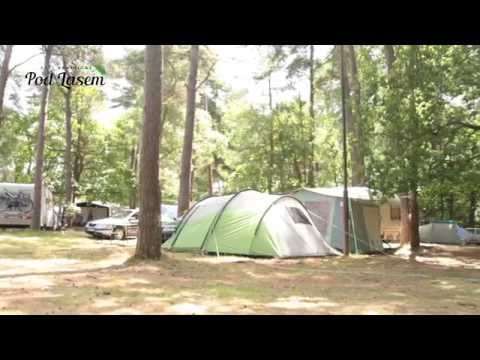 Pole namiotowe Pod Lasem