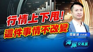 指數跳上跳下！Ai算力真的過剩了嗎？現在唯有這件事情不改變｜海豚交易室｜范振鴻 (圖)