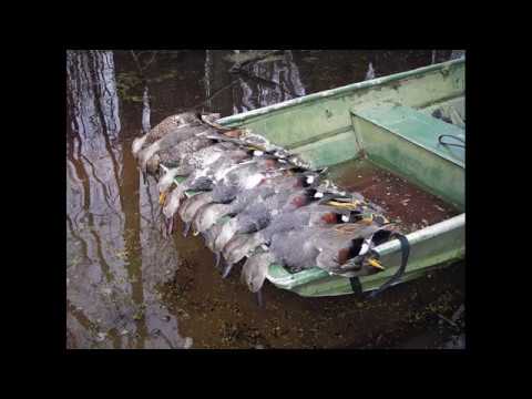 Archive 26 Video thumbnail