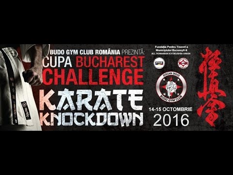 Bucharest Challange Cup 2016, suprafata C