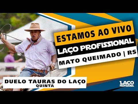 Duelo Tauras do Laço | Mato Queimado RS | Laço Profissional
