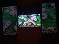 Bzzzzzz Baby Tv Zoo Animal English