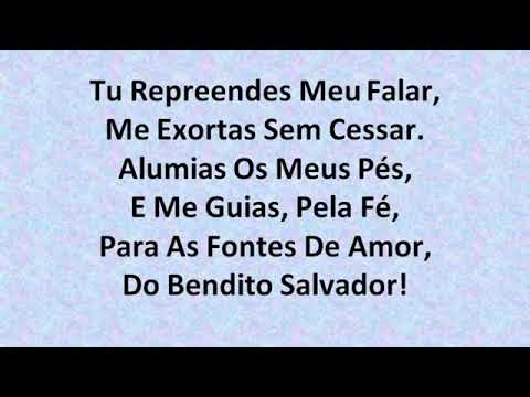 499  A Santa  Bíblia Harpa Cristã com legenda