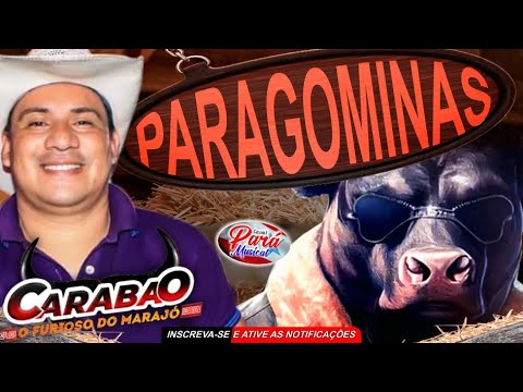 ✔️CARABAO💥 PARAGOMINAS- 15/08/2024 💥 DJ TOM💥PARÁ MUSICAL