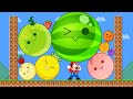 Mario Vs The Watermelon Game SUIKA Mario Go INSANE With Fruit Evolution Maze
