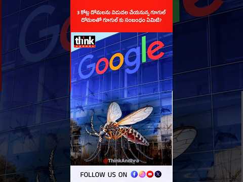 3 కోట్ల దోమలను విడుదల చేయనున్న గూగుల్ | దోమలతో గూగుల్ కు సంబంధం ఏమిటి? #google #ProjectDebug #zika