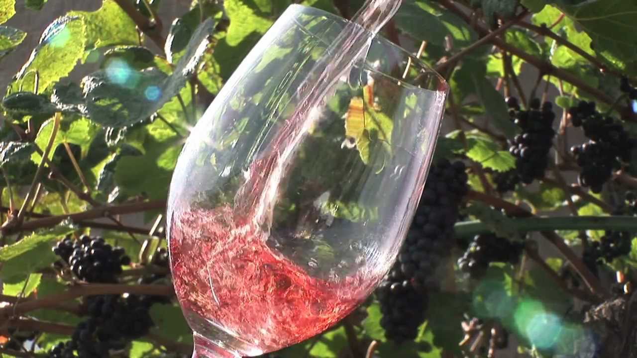 Road 13 Winery