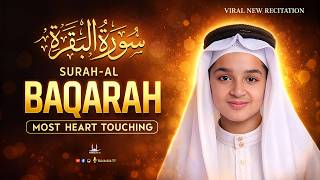 Download lagu Surah Al Baqarah Full (سورة البقره) Abdullah Ahmed Shaaban | Heart Touching Recitation-Habibullah TV mp3
