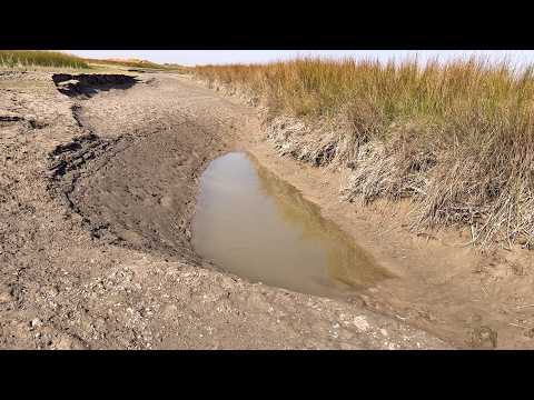 Shahzod Ro'zimboyev and Shahzod Turtkul