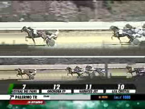 03/07/2014, Palermo , Premio Villanova C.naz.