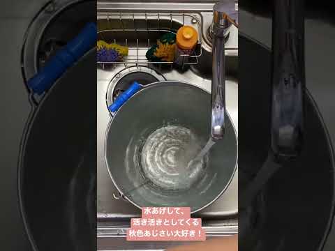 水をやりすぎたアジサイ、もう一度始めさせてもいいですか？あなたの植物を救うための4つの簡単なステップ!  庭園