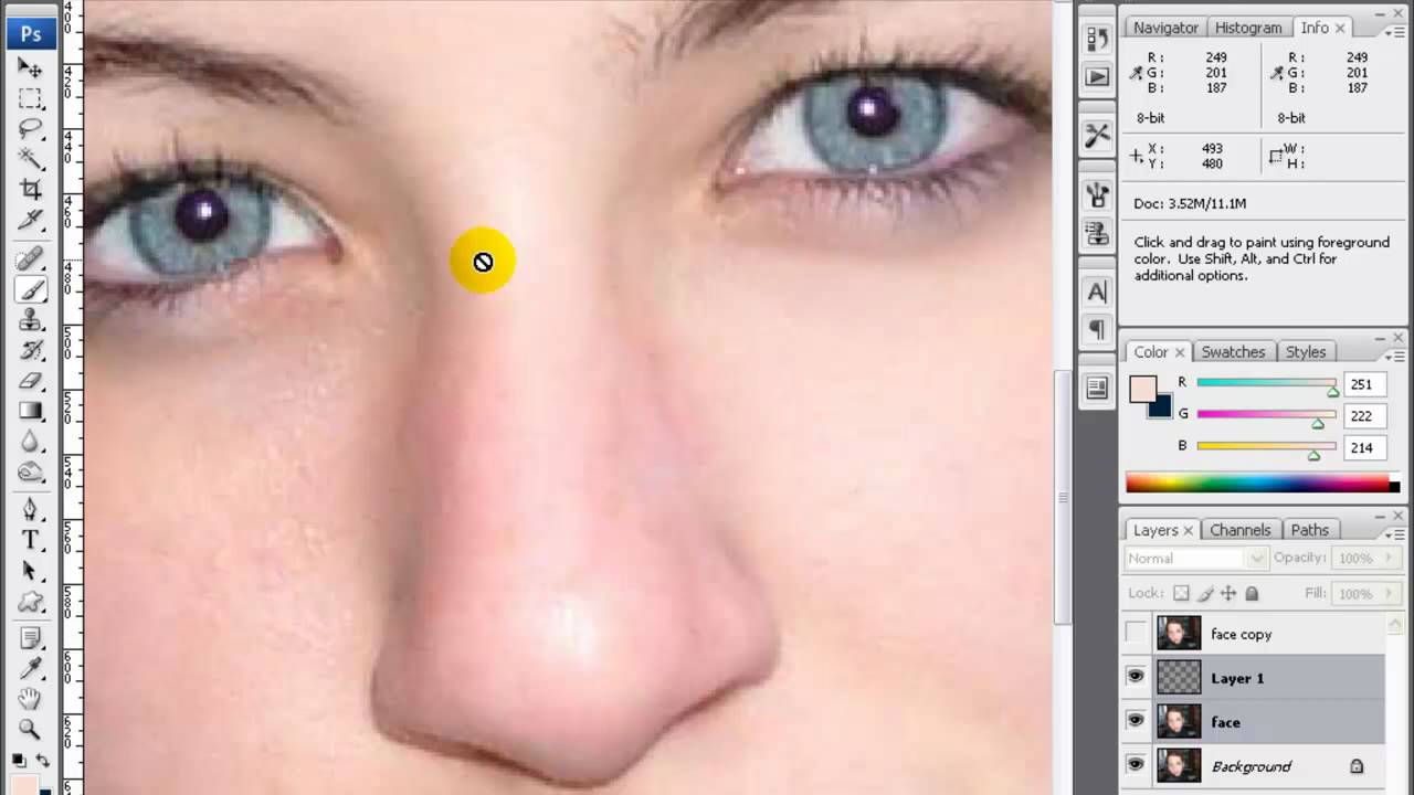 Photoshop CS5 Applying Digital Makeup